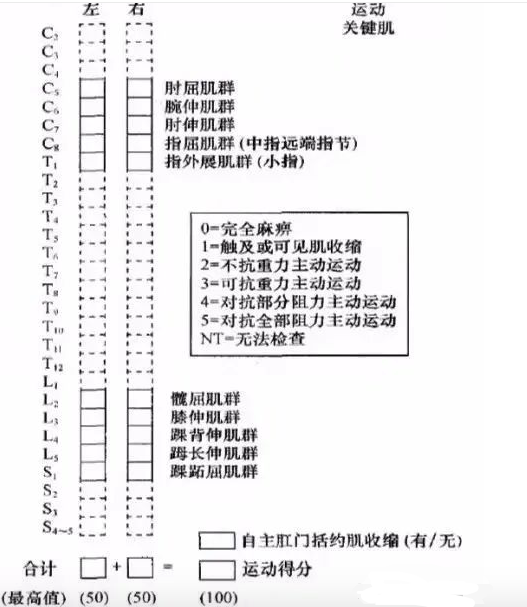 脊髓損傷的康復